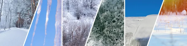 设置自然横幅冬季 自然拼贴与季节性风景 文本的复制空间 — 图库照片