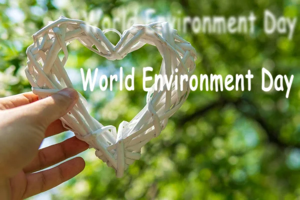 Dünya Çevre Günü Yeşil Arka Planda Kalbi Tutuyor Sevgililer Günü — Stok fotoğraf