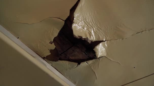 Problème Plafond Cassé Dans Maison Parce Que Eau Pluie Endommage — Video