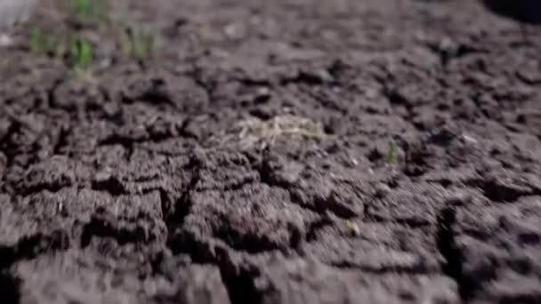 Föld Talaj Mezőgazdaság Számára Közelkép Mozgás Előre Stabilizátor Gimble — Stock videók