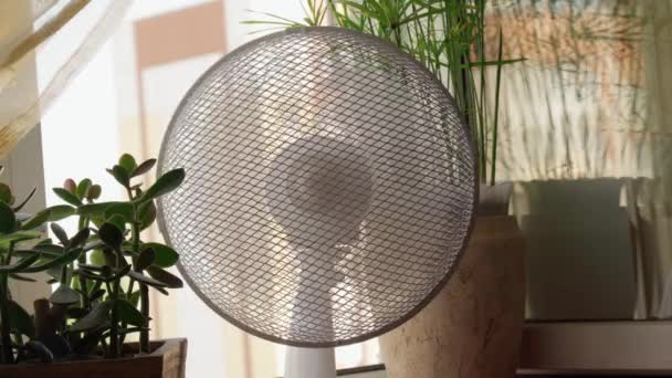 Elektrischer Bodenventilator Einem Modernen Wohnzimmer Einem Sonnigen Heißen Sommertag Selektiver — Stockvideo