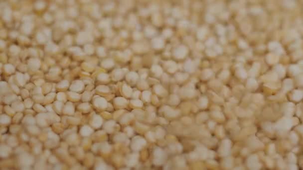 Makro Ujęcie Bliska Ziaren Quinoa Leżących Płaskiej Powierzchni — Wideo stockowe