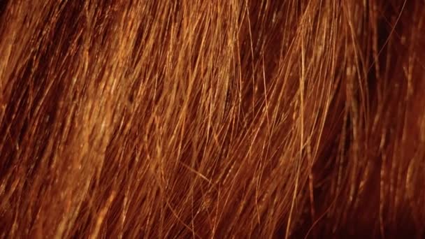 Каштановые Волосы Закрываются Заднем Плане Стилизованные Волнистые Блестящие Кудряшки Селективный — стоковое видео