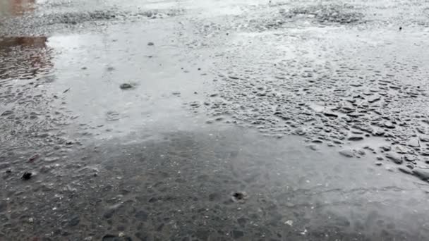 Vallende Regen Het Asfalt Regen Bewolkt Weer Selectieve Focus Close — Stockvideo