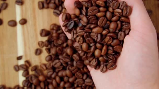 Жареные Кофейные Зерна Падают Кофейная Промышленность Сцена Кофейными Зёрнами Медленное — стоковое видео