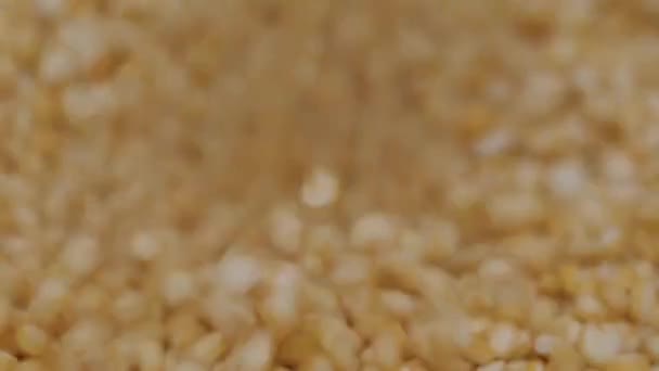 Zbliżenie Makroujęcia Suchego Lekkiego Ziarna Quinoa Leżącego Płaskiej Powierzchni Zwolniony — Wideo stockowe