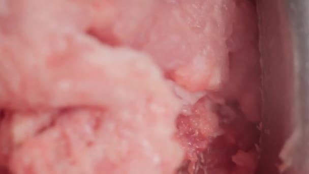 ミンチ肉のクローズアップマクロ 背景色 — ストック動画