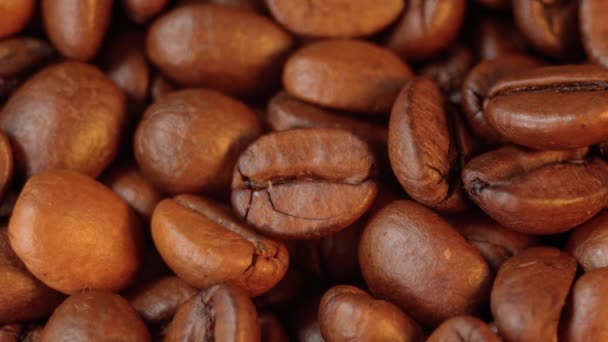 Ψητά Φασόλια Καφέ Σπόροι Βιολογικού Καφέ Επιλεκτική Εστίαση Κλείσε — Αρχείο Βίντεο