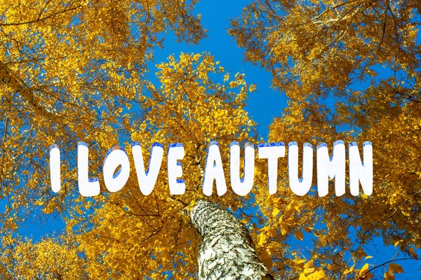 Ich Liebe Herbstschrift Herbsthintergrund Herbstliche Landschaft Wald Hintergrund Hohe Goldene — Stockfoto
