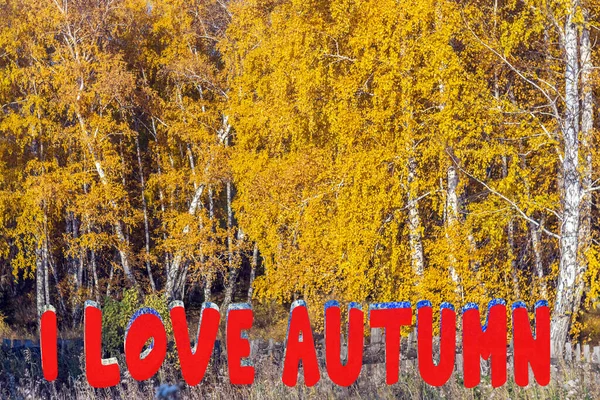 Uwielbiam Jesienne Napisy Jesienne Tło Jesienny Las Kolorowymi Jesiennymi Liśćmi — Zdjęcie stockowe