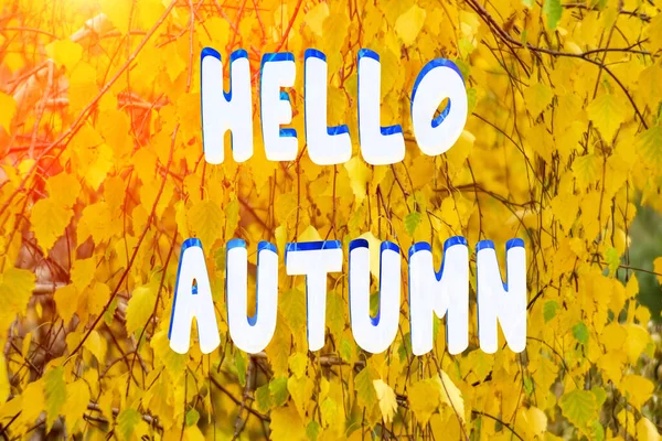 Abstrakter Hintergrund Mit Gelben Herbstblättern Auf Natürlichem Hintergrund Unscharf Unscharf — Stockfoto
