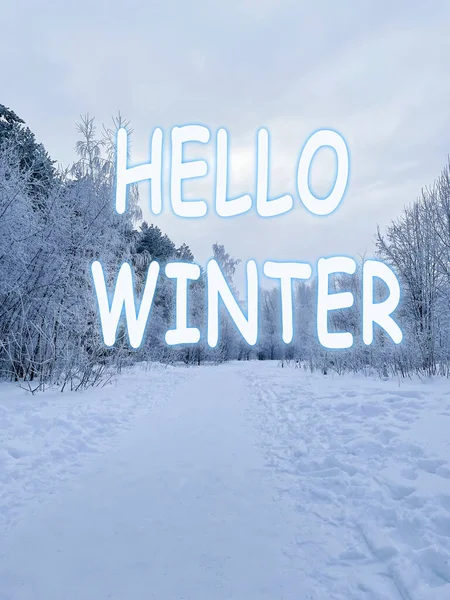 冬の背景について こんにちは冬のレタリング碑文 冬の森 雪の中の背の高いコニファーの細いトランク 冬の森の風景 縦の写真 — ストック写真