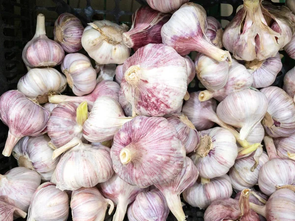 Garlic Counter Grocery Hypermarket Sale Fresh Vegetables — Stock Photo, Image
