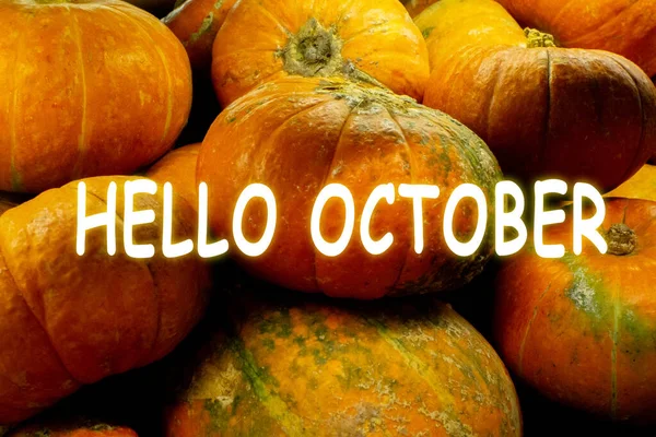 Természet Háttér Betűző Hello Október Tök Closeup Háttér Eladás Textúra — Stock Fotó