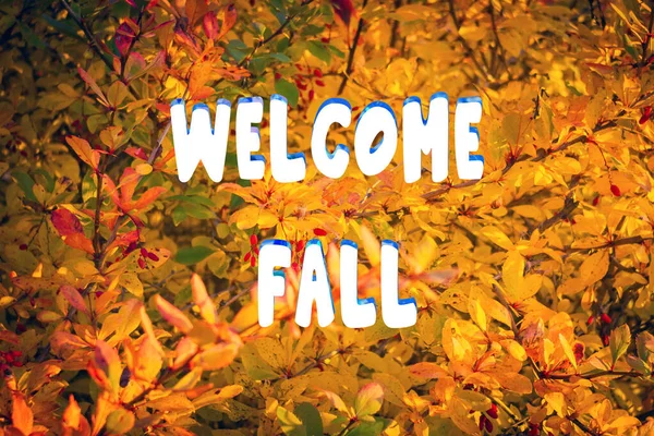 Vítejte Podzimní Nápis Abstraktní Podzimní Pozadí Angrešt Větvích Bushe — Stock fotografie