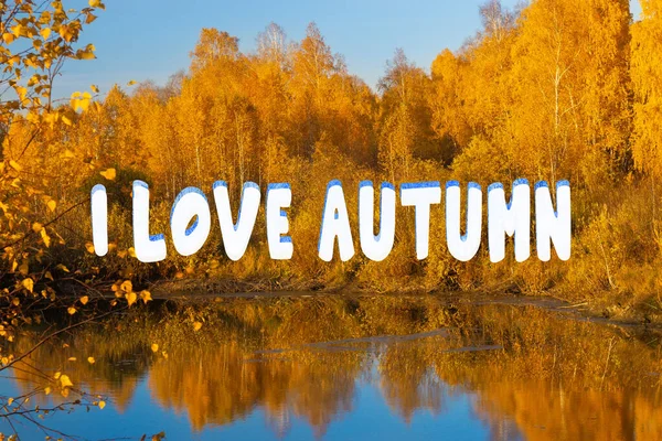 Ich Liebe Herbstliche Schriftzüge Herbstlichen Hintergrund Herbstlichen Wald Abend See — Stockfoto