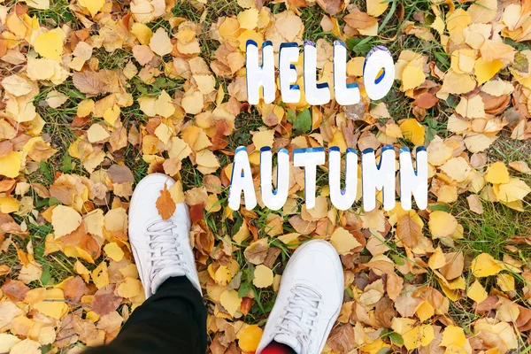 Hallo Herbst Inschrift Herbst Hintergrund Draufsicht Eines Mannes Schuhe Auf — Stockfoto