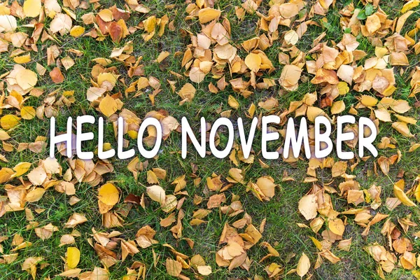 Naturhintergrund Mit Schriftzug Hallo November Gelbe Abgefallene Blätter Auf Dem lizenzfreie Stockbilder