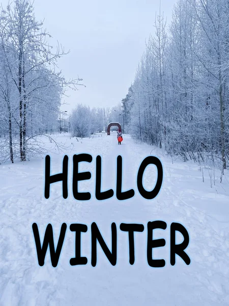 冬の背景について こんにちは冬のレタリング碑文 冬の森の風景 素晴らしい 魔法の 雪に覆われたリース 縦の写真 — ストック写真