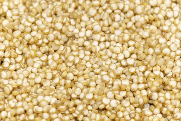 Quinoa Close Macro Selective Focus Food Cooking Texture Stock Photo