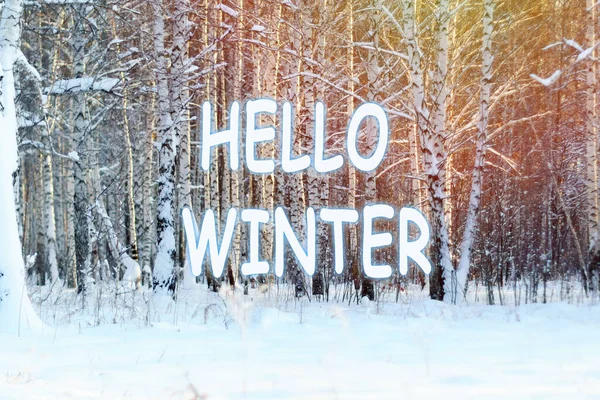 Vinterbakgrund Hej Vinter Bokstäver Inskription Frosty Dag Vinter Scen Selektivt — Stockfoto