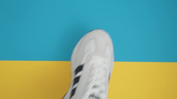 Tyumen Russia Agosto 2023 Sneakers Adidas Bianche Sfondo Bianco Nuove — Video Stock