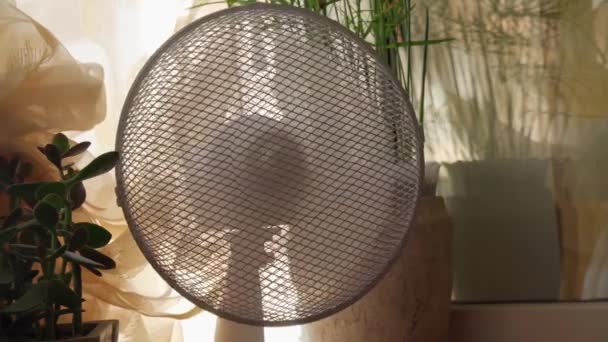 Elektrický Podlahový Ventilátor Moderním Obývacím Pokoji Slunečného Horkého Letního Dne — Stock video