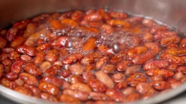 煮豆子在沸水中的特写 烹调自制蔬菜食品 — 图库视频影像