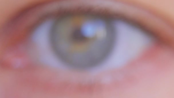 Крупным Планом Человеческий Глаз Человек Голубыми Зелеными Глазами — стоковое видео