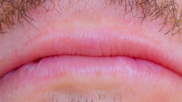 Les Lèvres Homme Avec Une Moustache Gros Plan Macro Concentration — Video