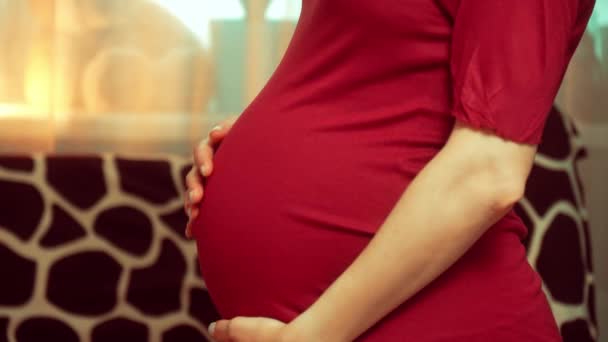 妊娠中の女性は 胃の中に手を握っています サード トリムスター 妊娠する 奇跡を待っている マザーフッド — ストック動画