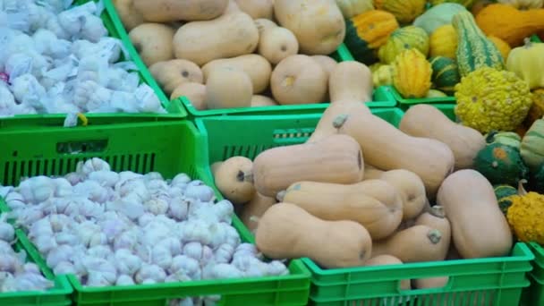 Récolte Colorée Légumes Assortis Dans Des Paniers Vendre Des Légumes — Video