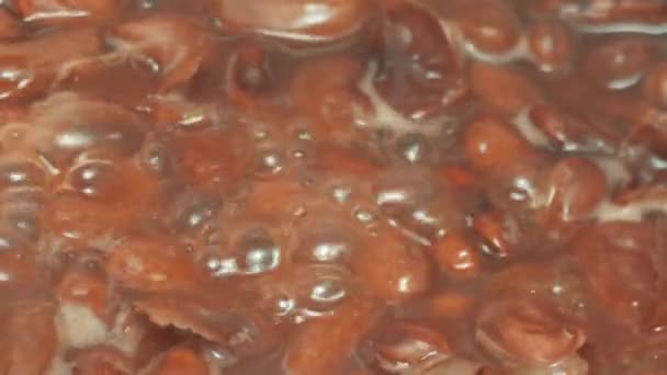 Koker Røde Bønner Kokende Vann Med Kyllingplan Matlaging Sunn Ernæring – stockvideo