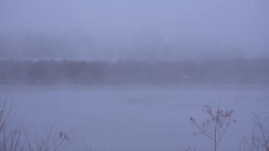 Arka planında ağaçlar olan sisli göl, gölün gizemli manzarası.