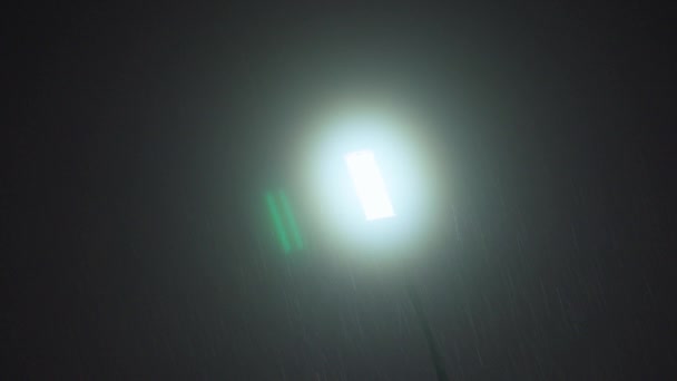 Lampa Osvětlující Noc Měsíčním Světlem Kapkami Deště — Stock video