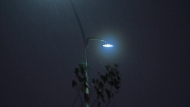Pouliční Světlo Tmě Měsícem Pozadí Selektivní Zaměření — Stock video