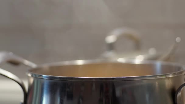 Silver Pot Sitting Top Stove Ready Cooking Delight — Stock Video