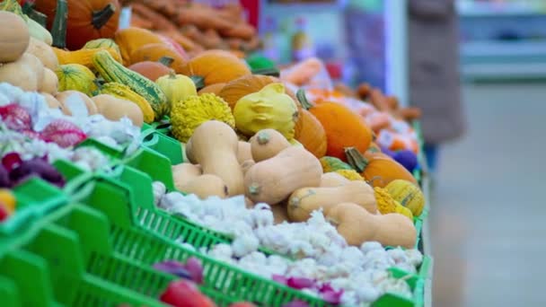 Récolte Colorée Légumes Assortis Dans Des Paniers Vendre Des Légumes — Video