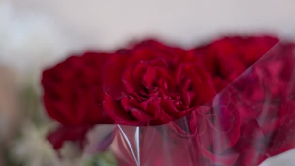 Bando Rosas Vermelhas Num Vaso Vaso Vidro Delicado Foco Seletivo — Vídeo de Stock