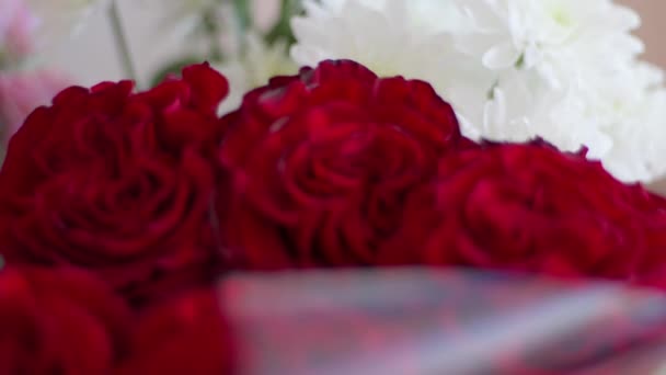 Egy Rakás Vörös Rózsa Egy Vázában Finom Üvegváza Szelektív Fókusz — Stock videók