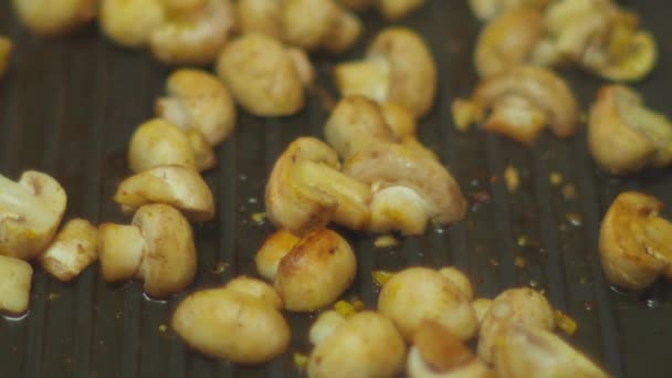 Chef Fritando Cogumelos Mexendo Panela Assado Com Cogumelos — Vídeo de Stock