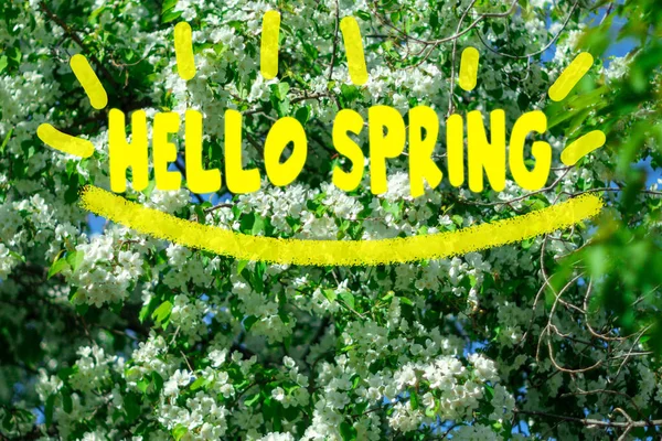 Spring banner. Hello, Spring. The beginning of the spring season. Blooming apple trees
