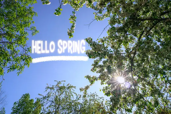 Ahoj Jaro Slunce Proniká Korunami Stromů Kvetoucí Jabloně — Stock fotografie