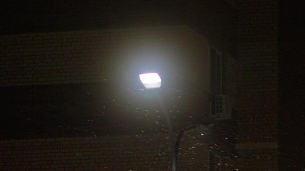 Lâmpada Uma Lanterna Noite Fora Inverno Está Nevando Câmera Lenta — Vídeo de Stock
