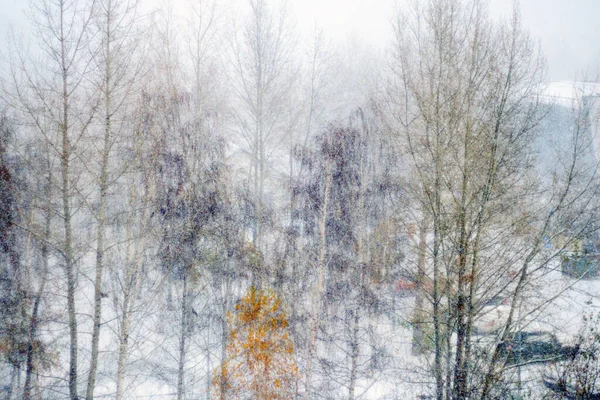 Defocused winter background with snowfall and copy space. Magic forest copy space