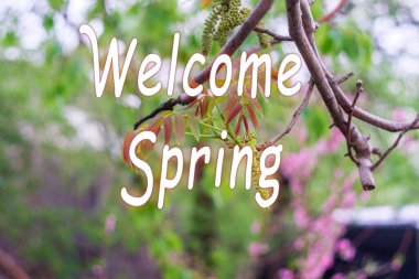 Hoş geldin bahar mesajı - Bahar zamanı, çiçek açan dallar. Mevsimin başlangıcı. Seçici odak