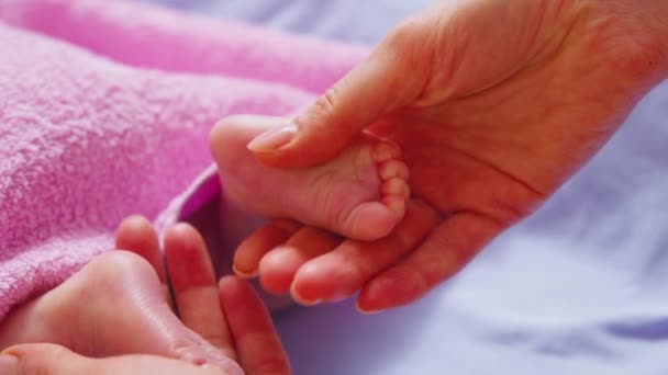 细腻地抱着小脚宝宝 包裹着最纯洁的爱的形式 — 图库视频影像