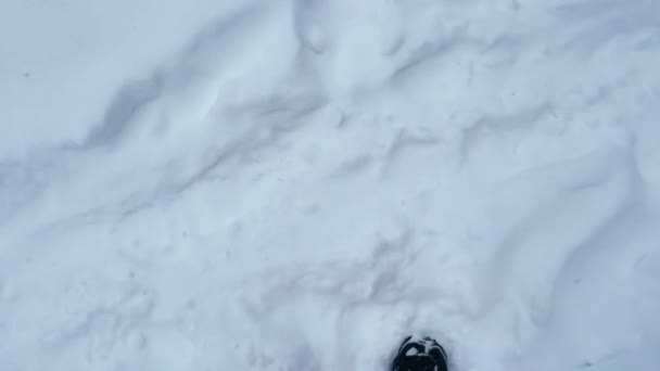 唯一の旅行者が目に見える深い雪の中を単独の旅し ワイナリーの広がりの静かな孤独を強調する — ストック動画