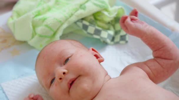 Retrato Bebé Recién Nacido Mano Sostiene Tiernamente Para Transmitir Comodidad — Vídeo de stock