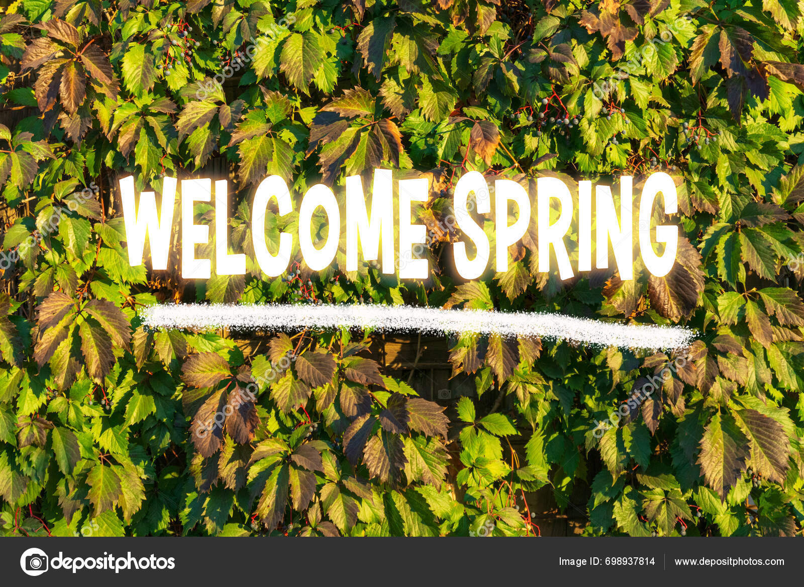 Welcoming Text Welcome Spring Overlays Lush Backdrop Fresh Green Leaves ...